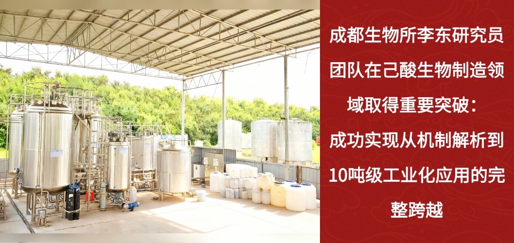 成都生物所李东研究员团队在己酸生物制造领域取得重要突破：成功实现从机制解析到10吨级工业化应用的完整跨越