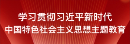 学习贯彻习近平新时代中国特色社会主义思想主题教育